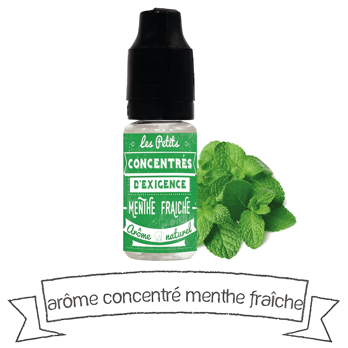 concentre-menthe-fraiche-vdlv