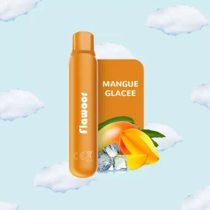 FLAWOOR MATE MANGUE GLACEE cigarette electronique jetable