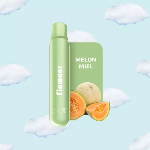 Melon Miel - FLAWOOR Mate cigarette électronique jetable