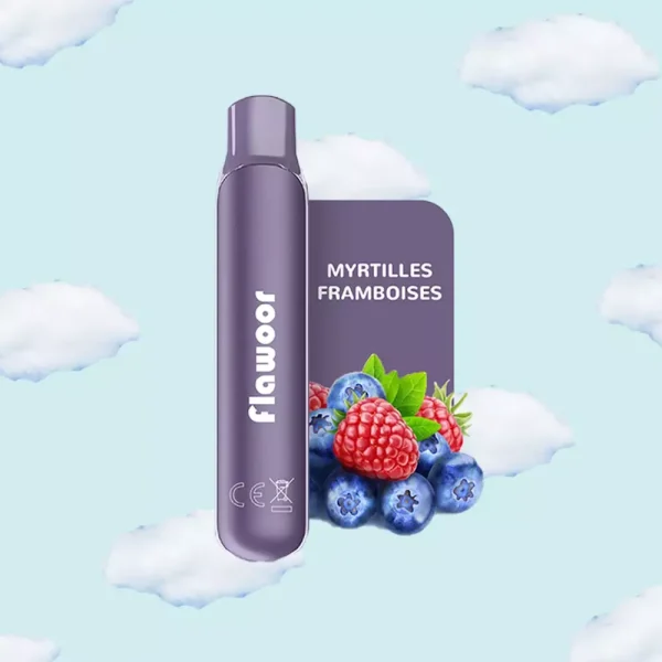 Myrtilles Framboises - FLAWOOR Mate cigarette electronique jetable