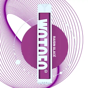 Wotofo Wafer Raisin glacé Cigarette electronique Jetable