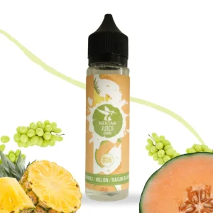 ANANAS MELON RAISIN BLANC NEKTAR JUICE
