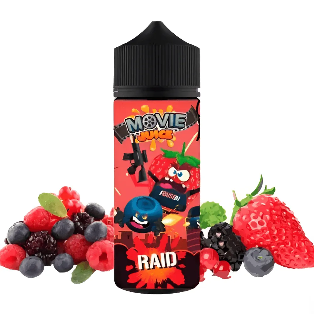 raid movie
