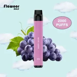 FLAWOOR MAX RAISIN SUCRE 2000 PUFFS puff jetable