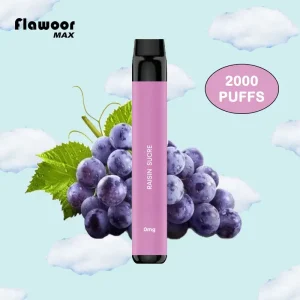 FLAWOOR MAX RAISIN SUCRE 2000 PUFFS puff jetable
