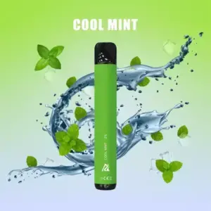 Cool Mint Anyvape Puff Jetable