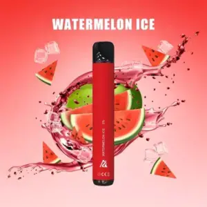 Watermelon Ice ANYVAPE Puff Jetable